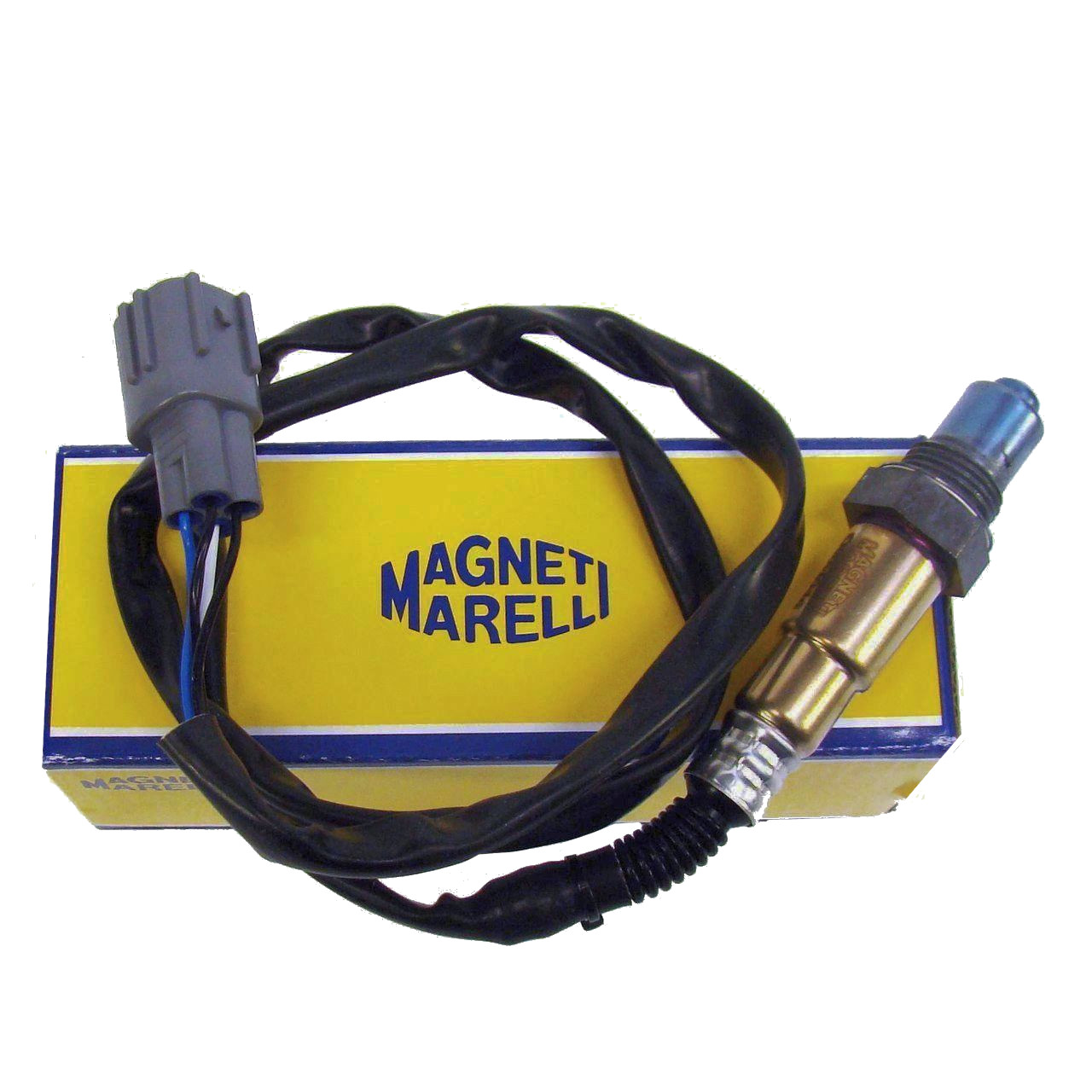ALEX